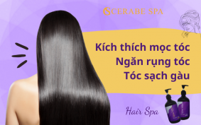 Hair Spa kích thích mọc tóc, ngăn ngừa rụng tóc, tóc sạch gàu