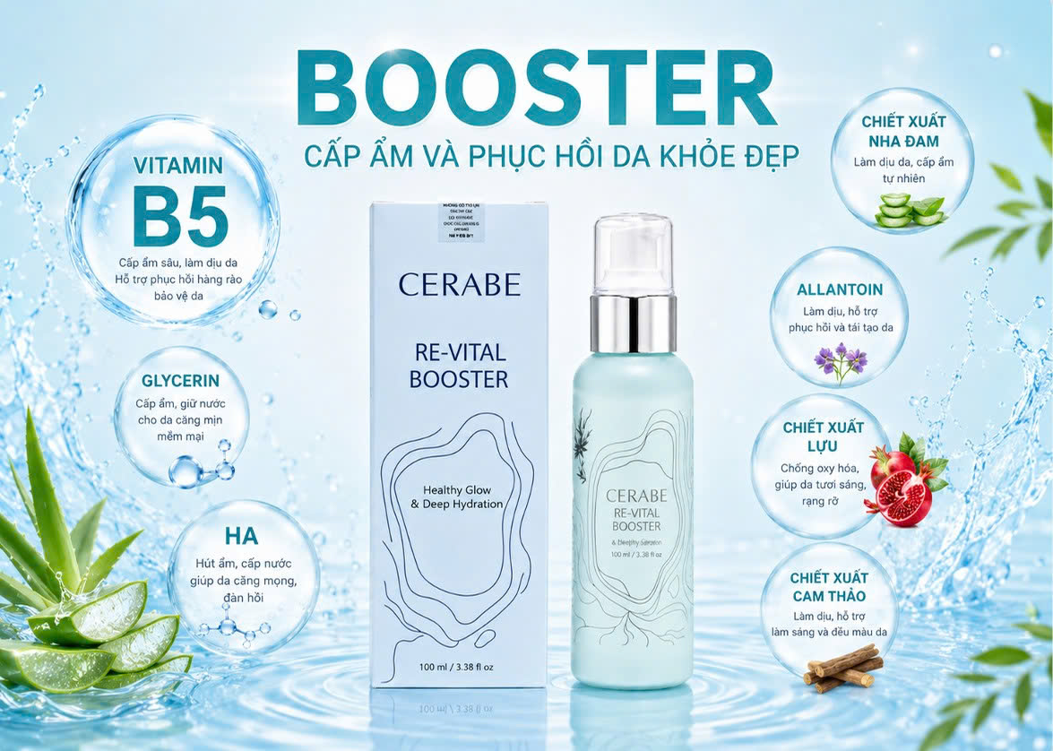 Thành phần nổi bật của Cerabe Re-Vital Booster